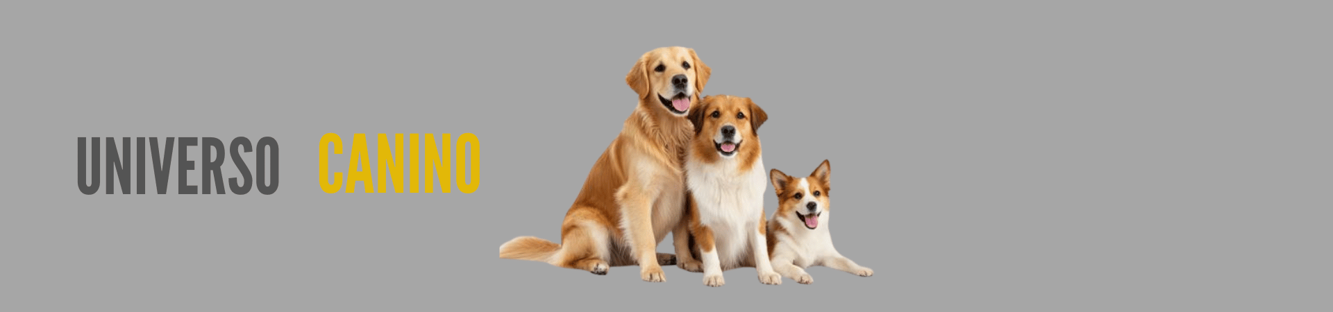 Universo Canino